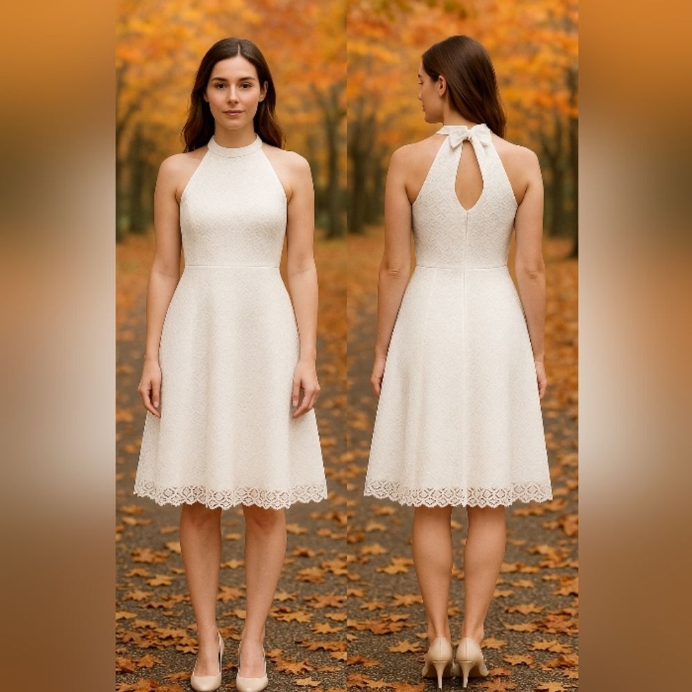 Tahari Arthur S. Levine Women’s  S  White Empire Waist Crochet Lace A-Line Dress